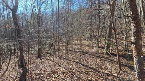 Wooded Residential Building Lot