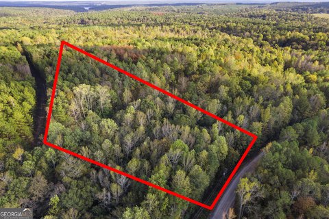 6.24 Acre Wooded Land