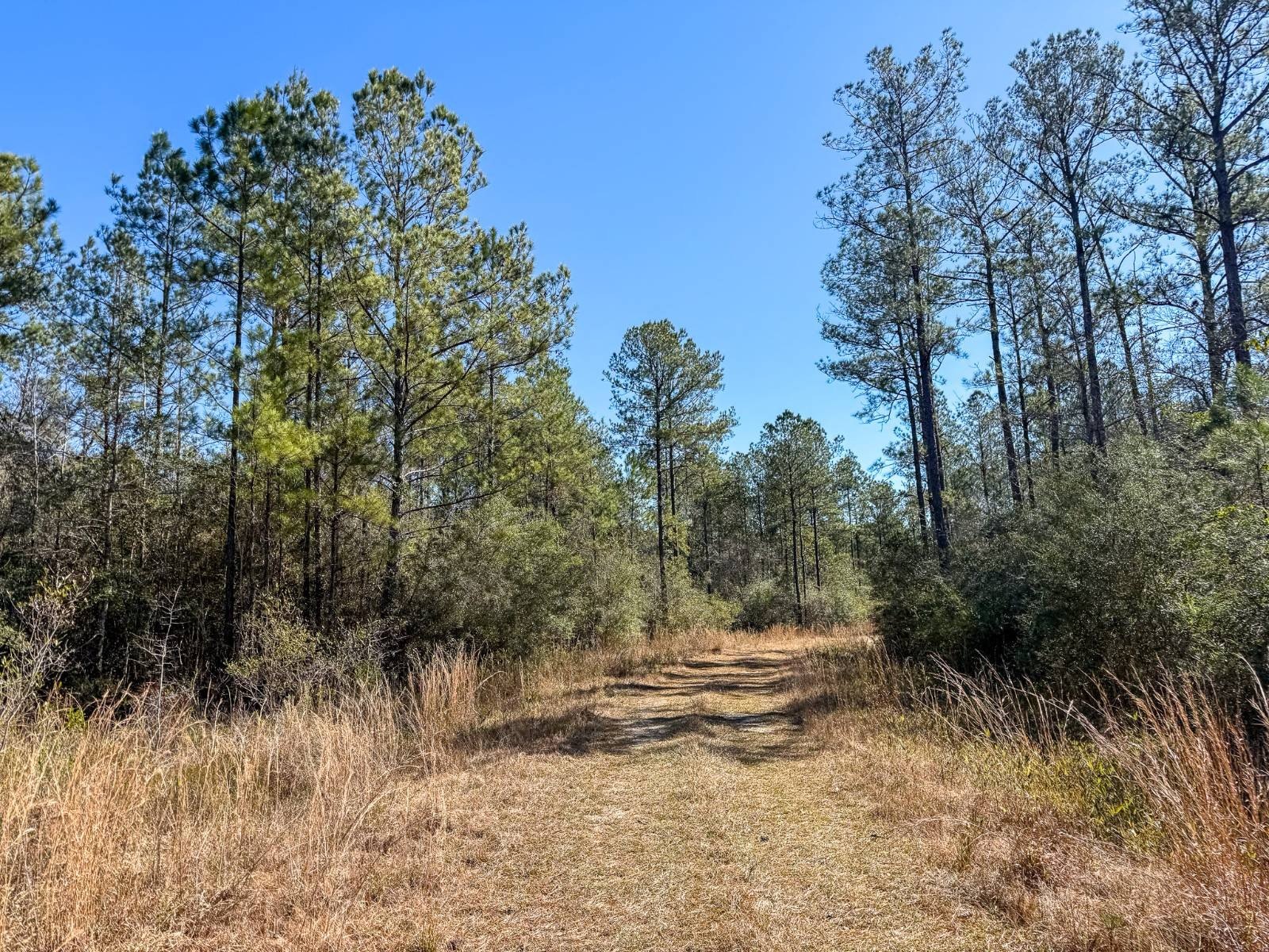 Riverfront Land Near Mississippi Coast