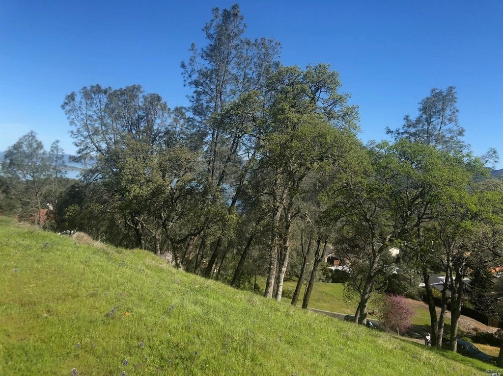 Picture 7