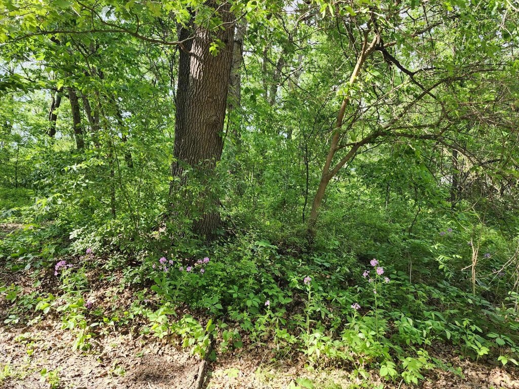 Picture 6