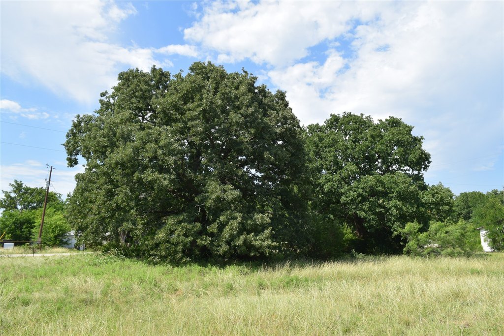 Picture 3