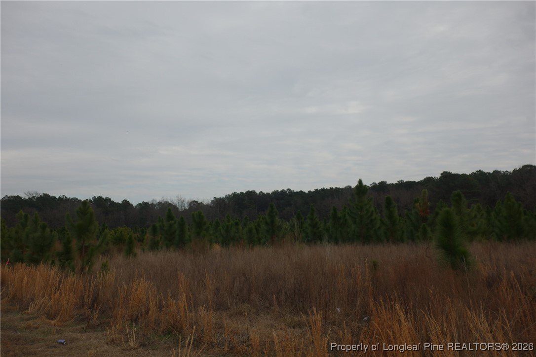 Residential Land in Fairmont, NC