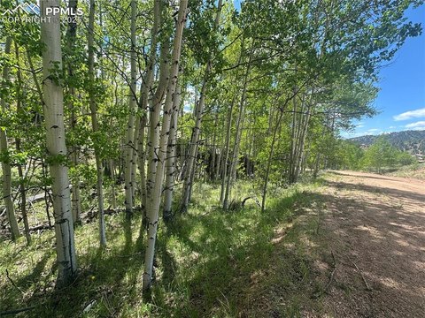 Land in Cripple Creek Estates