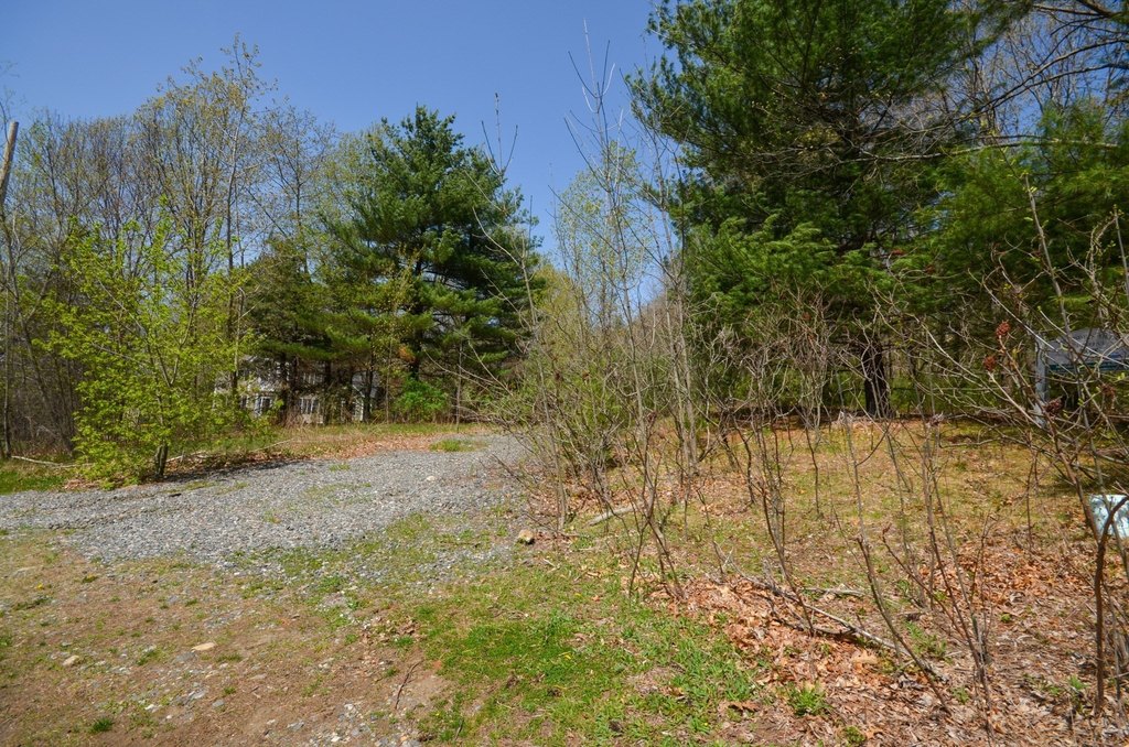 Picture 13