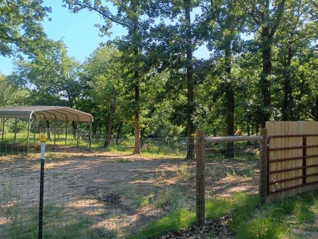 Picture 14