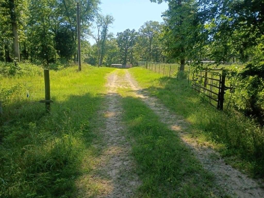 Picture 6