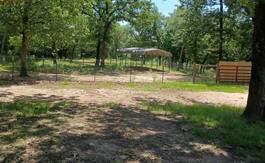 Picture 3