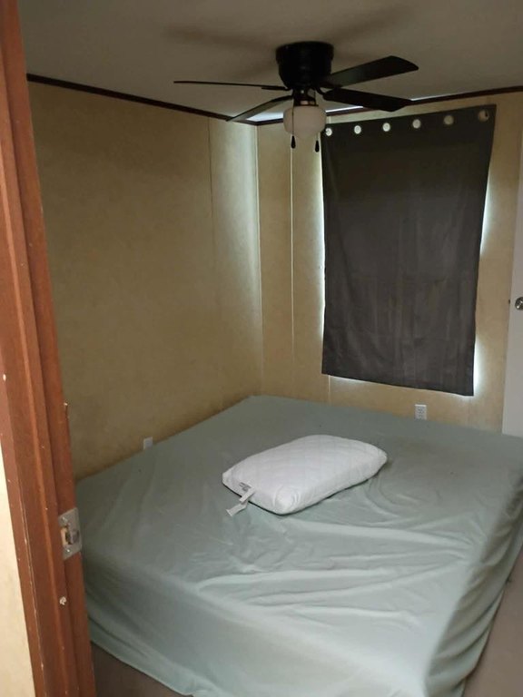 Picture 20