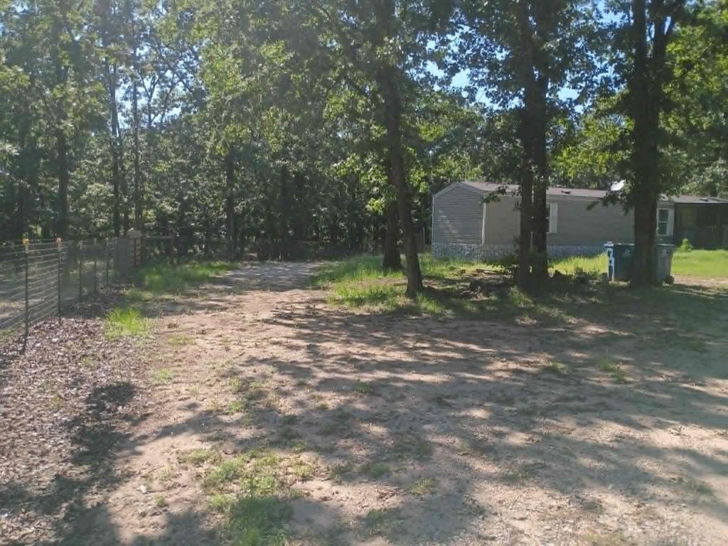 Picture 12