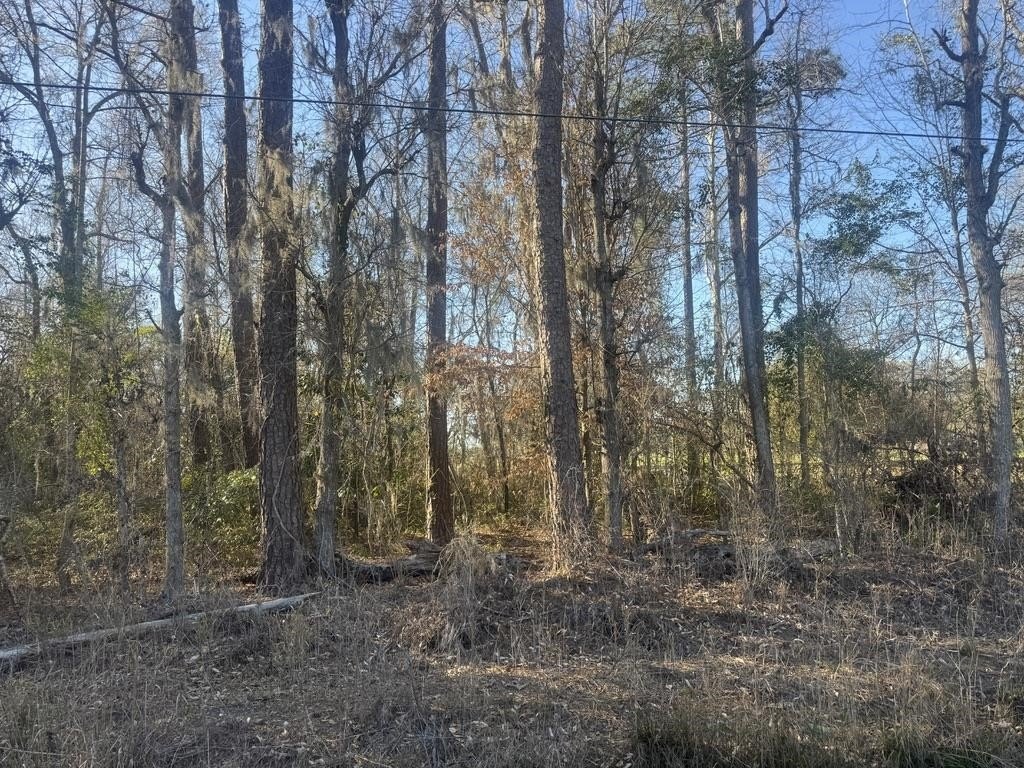 Picture 5