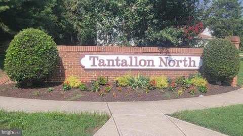 Wooded Land Near Potomac River