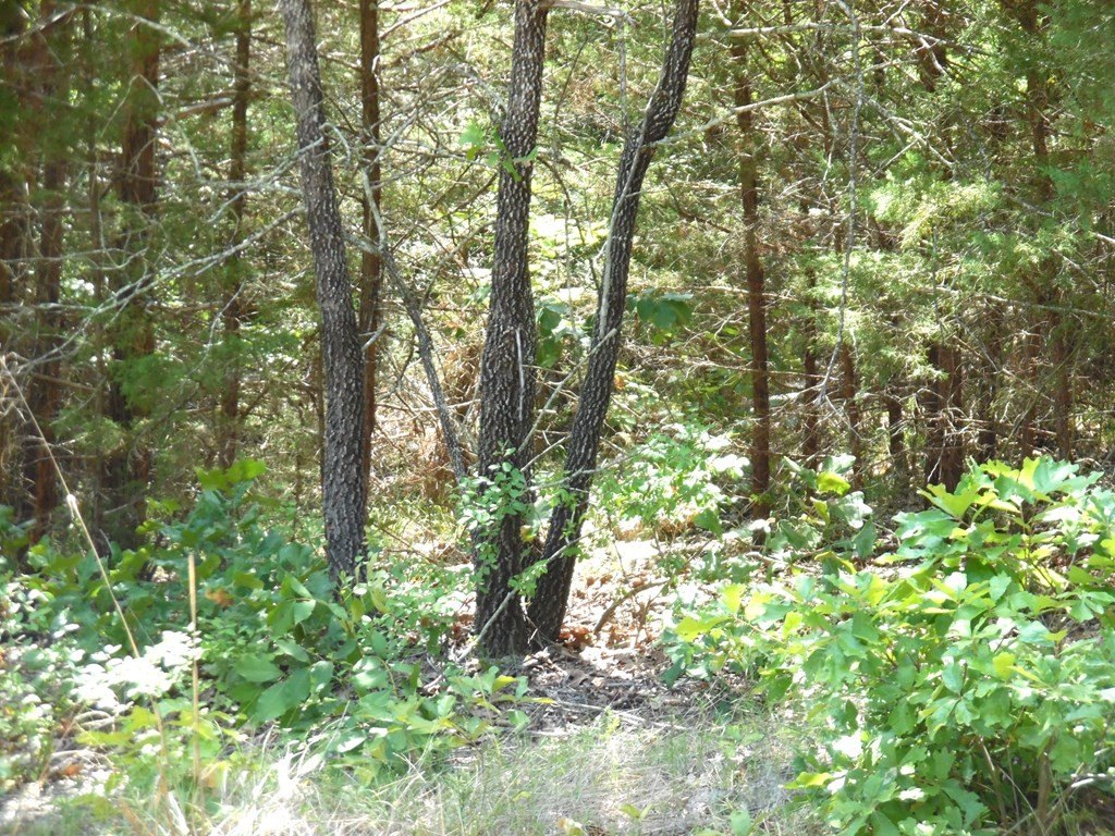 Picture 9