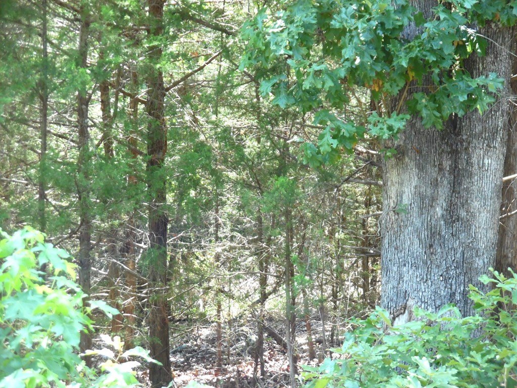 Picture 14