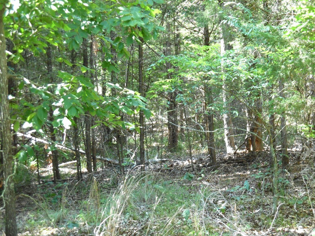 Picture 5