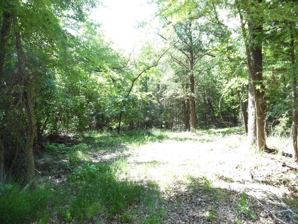 Picture 2