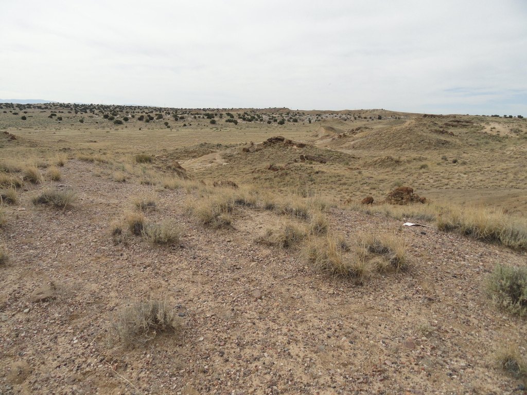 Picture 8