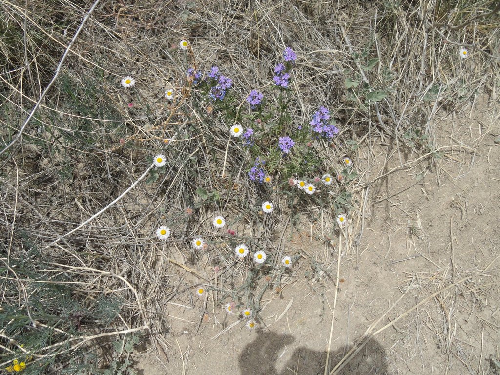 Picture 10