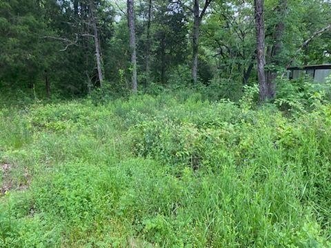Waterfront Lot on Cedar Creek