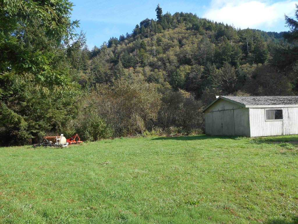 Picture 5