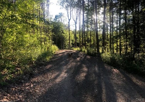 LAND - Freeville, NY