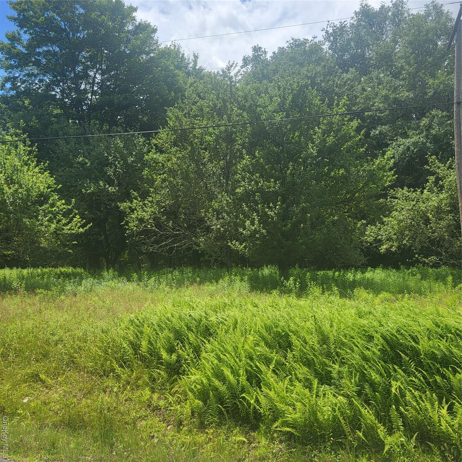 2 Acres Land in Bethel