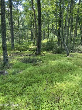 Land, Hawley, PA