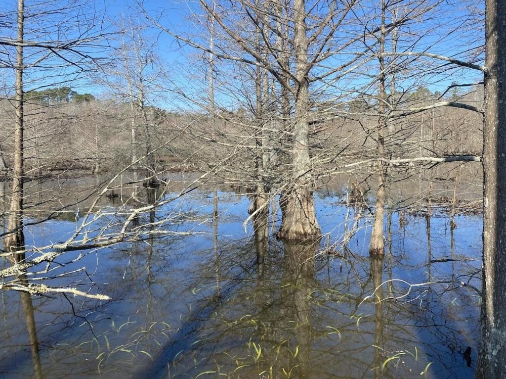 Rowell, AR Vacant Land