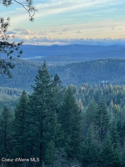 Coeur d'Alene Land For Sale