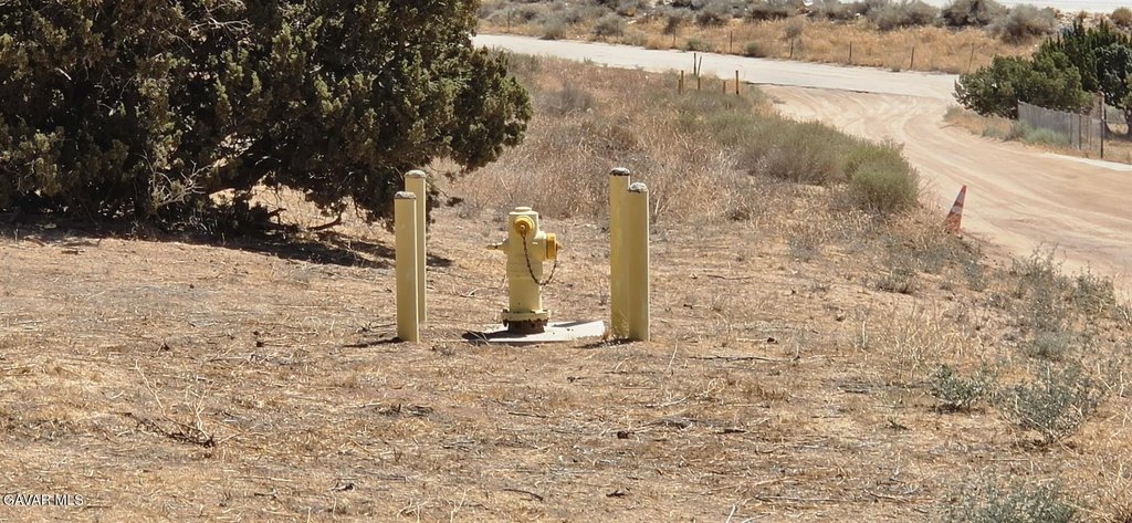 Picture 3