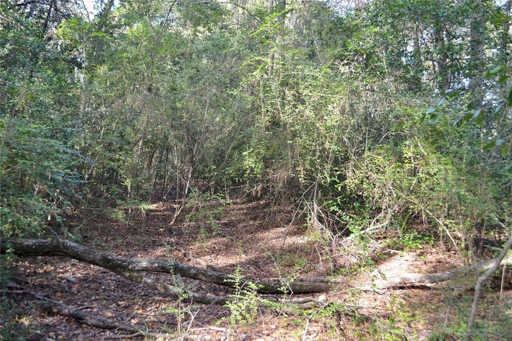 Picture 10