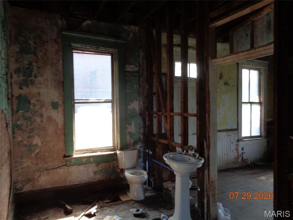 Picture 16