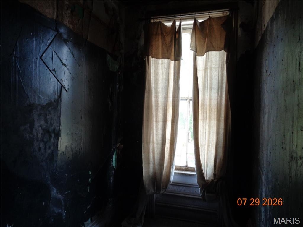 Picture 11