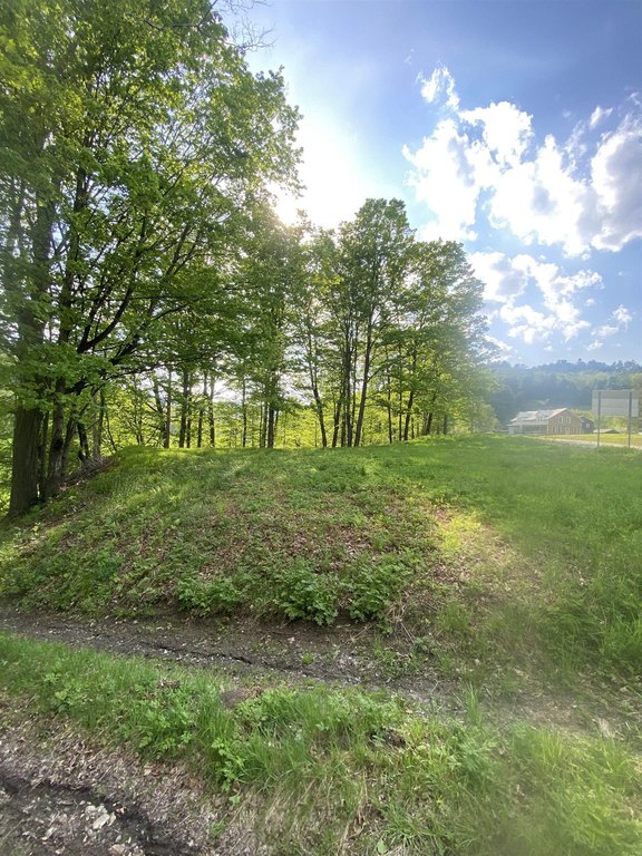 Picture 4