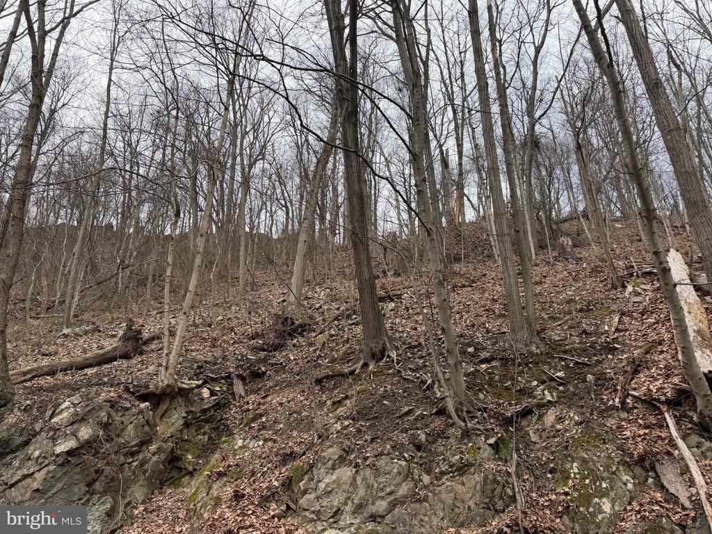 Picture 14