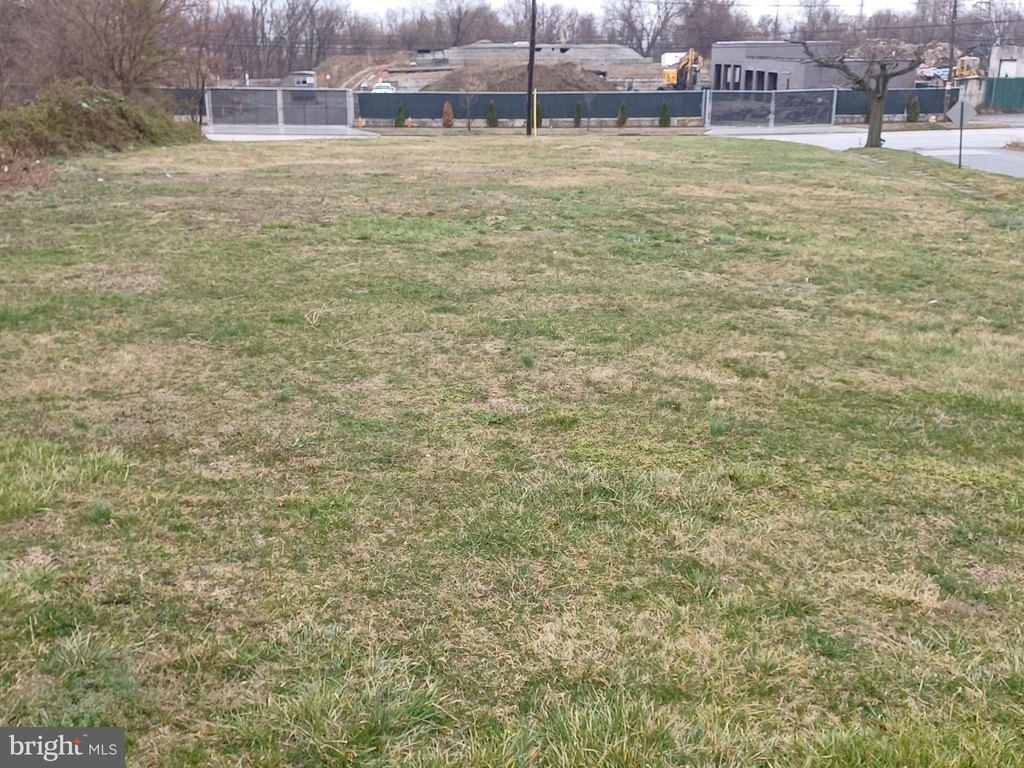 Picture 3