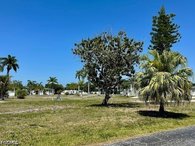 Picture 9