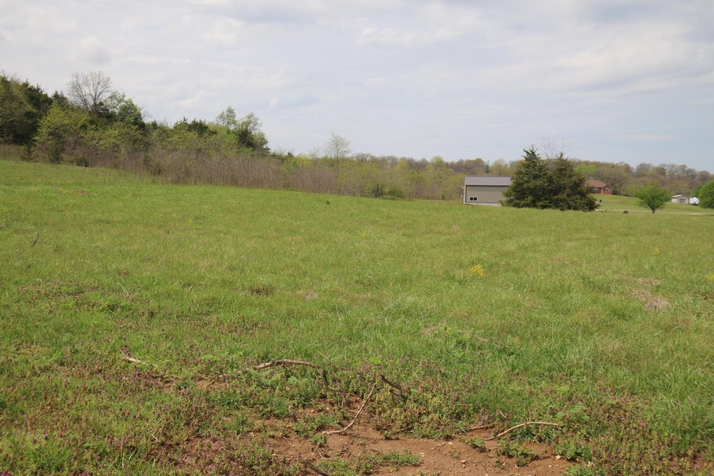 Picture 21