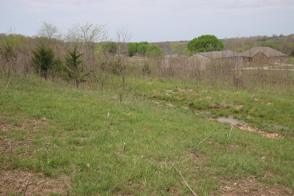 Picture 19