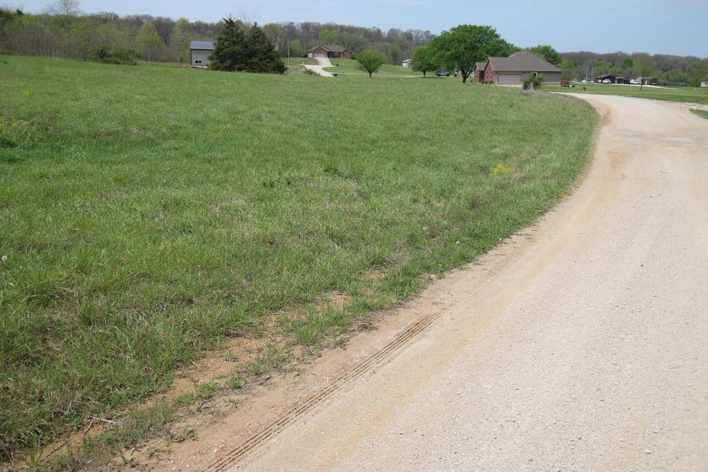 Picture 20