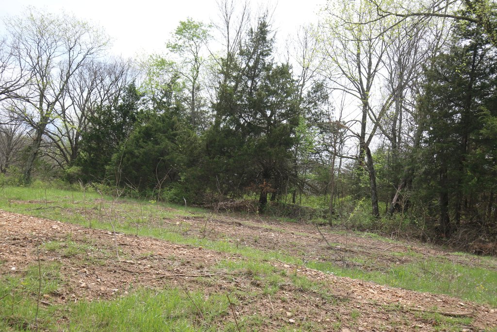 Picture 9