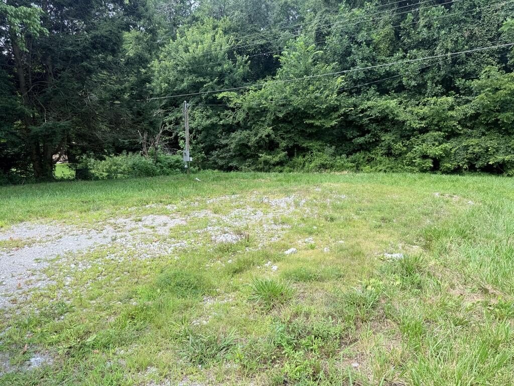 Picture 10