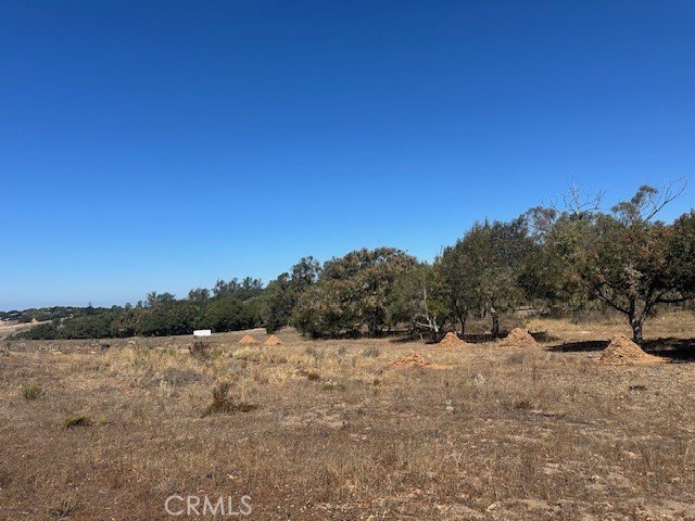 Premiere Estate Parcel in Lompoc