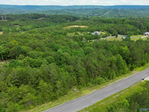 Residential Land in Fort Payne