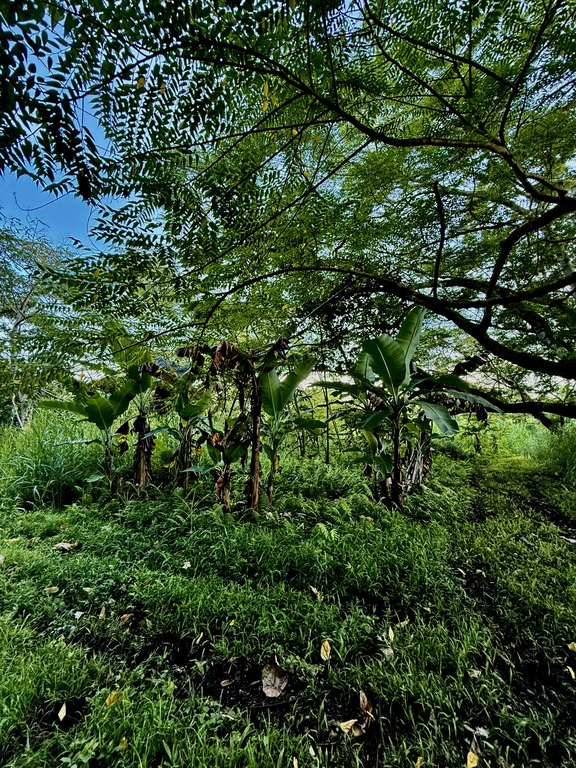 Picture 17