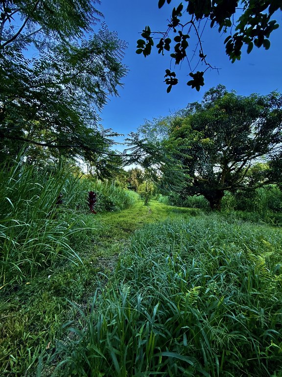 Picture 9
