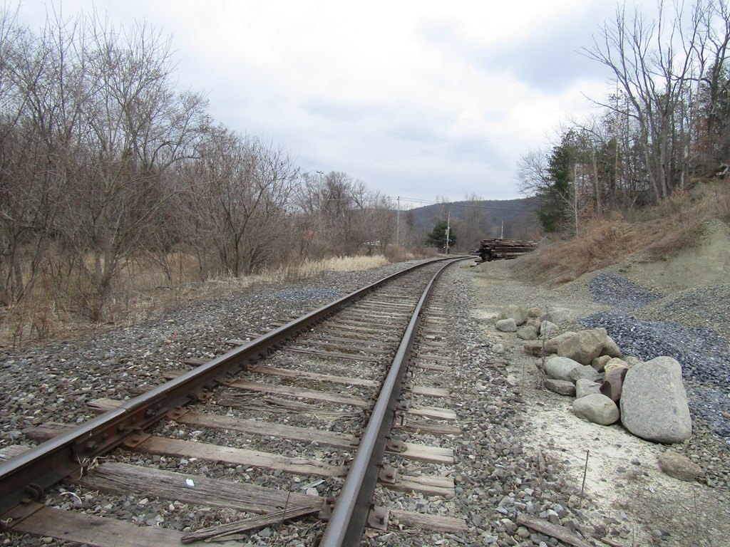 Picture 5