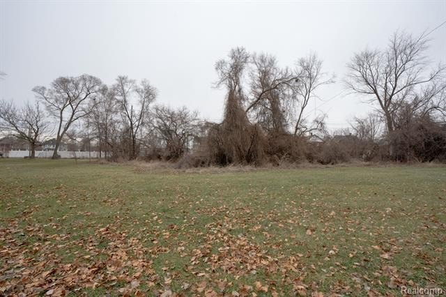 Picture 8