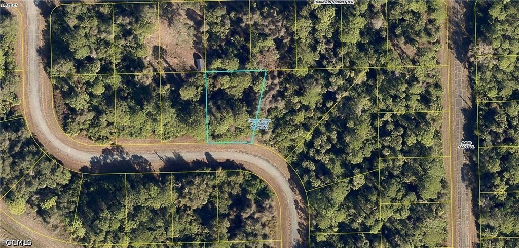 Picture 2
