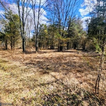 Kingwood Twp. Land For Sale